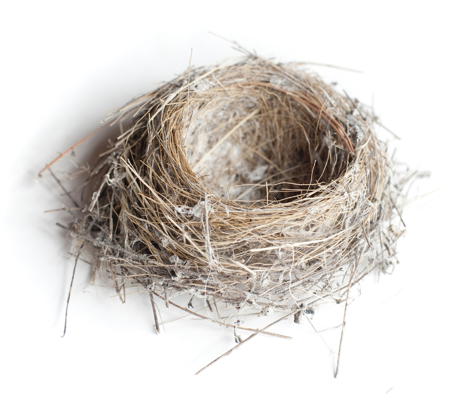 Empty Nest And Hijacking | Northview Community Church   Abbotsford | Mission - Empty Nest, Transparent background PNG HD thumbnail