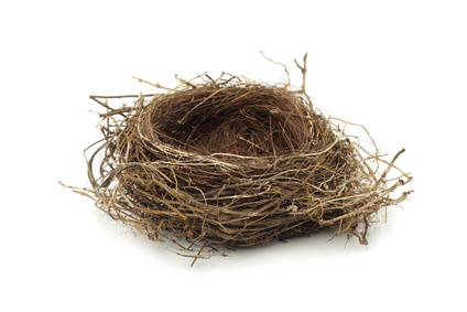 Empty Nest Png - Financial Planning 101 For Empty Nesters | Http://expertbeacon Pluspng.com/financial, Transparent background PNG HD thumbnail
