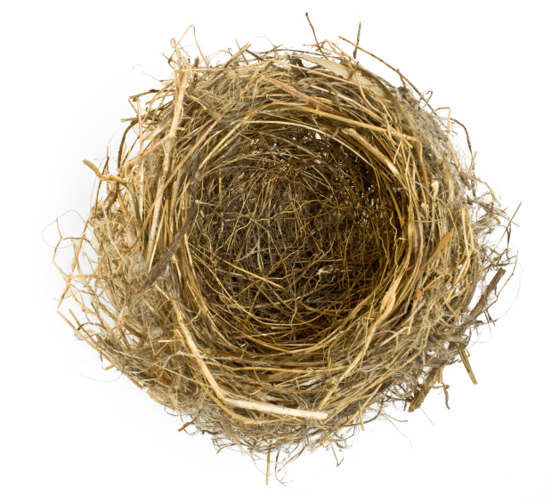 How To Prepare For Empty Nest Years Way Before The Nest Is Empty - Empty Nest, Transparent background PNG HD thumbnail