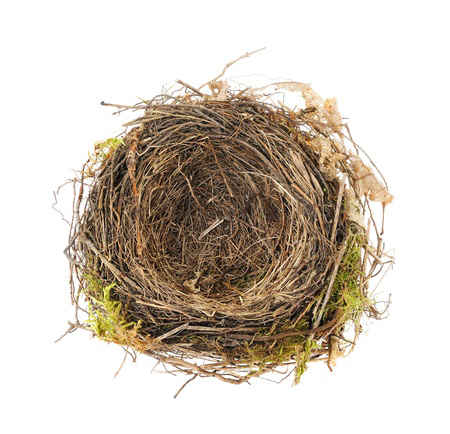 Empty Nest Png - Navigating The Empty Nest Syndrome, Transparent background PNG HD thumbnail