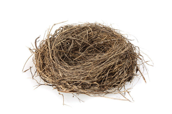 How to prepare for empty nest