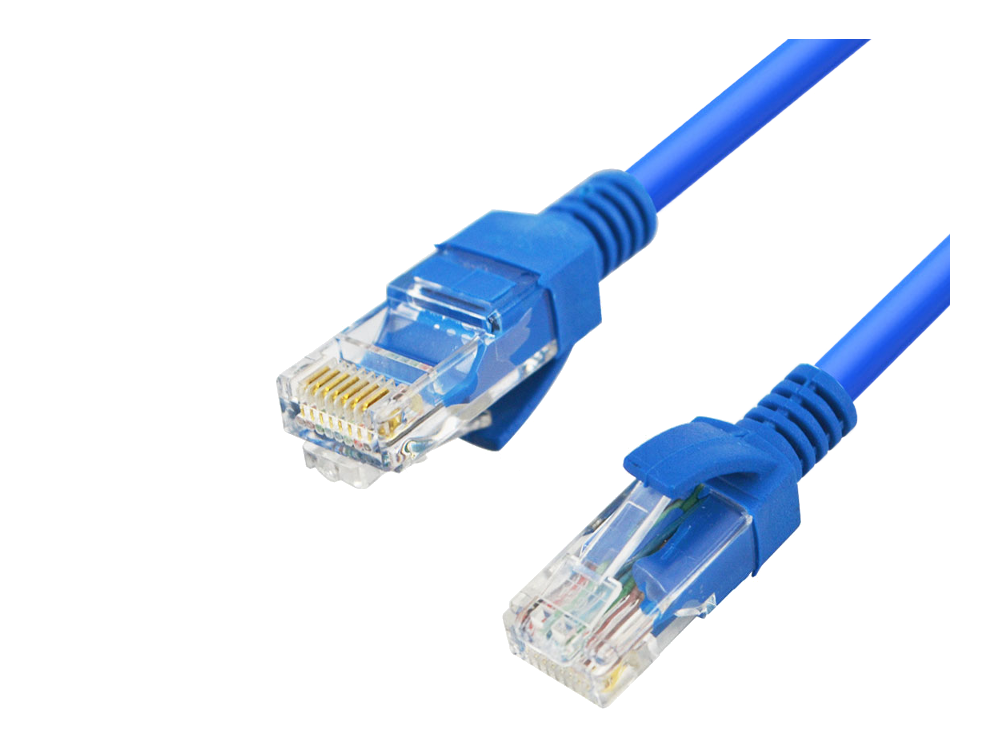 Cca_Blue_Netowkr_Patch_Cable_Plugs_Only_Roq9Owf8Dmw5.png - Ethernet Cable, Transparent background PNG HD thumbnail