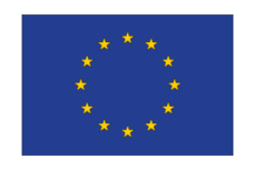 EUROPEAN UNION VECTOR FLAG
