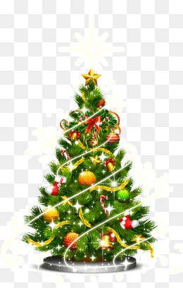 Christmas Tree, Christmas, Trees, Christmas Tree Png Image - Evergreen Tree, Transparent background PNG HD thumbnail