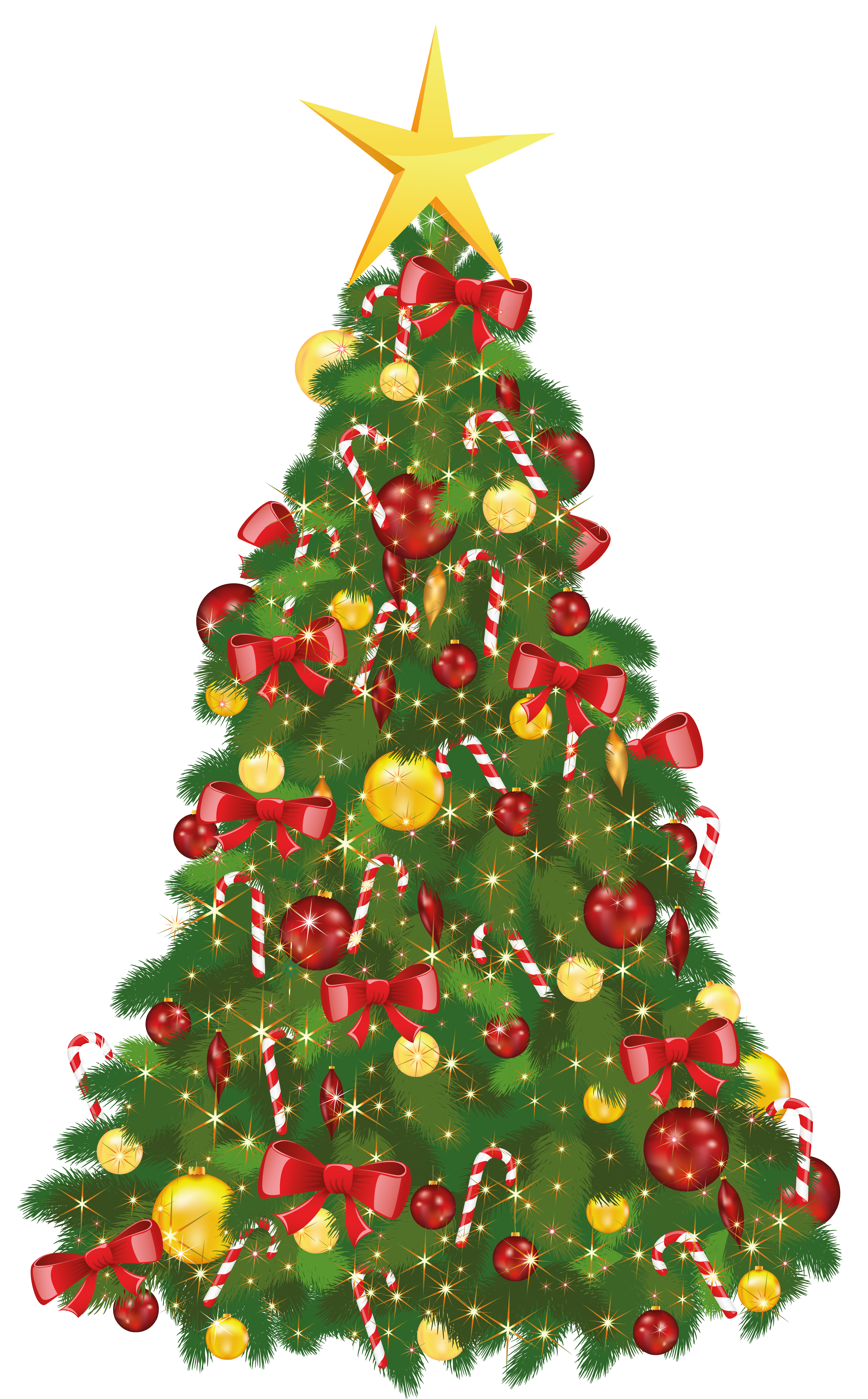 Christmas Tree Png - Evergreen Tree, Transparent background PNG HD thumbnail