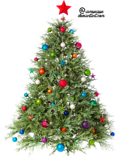 Download Christmas Tree Png Images Transparent Gallery. Advertisement - Evergreen Tree, Transparent background PNG HD thumbnail