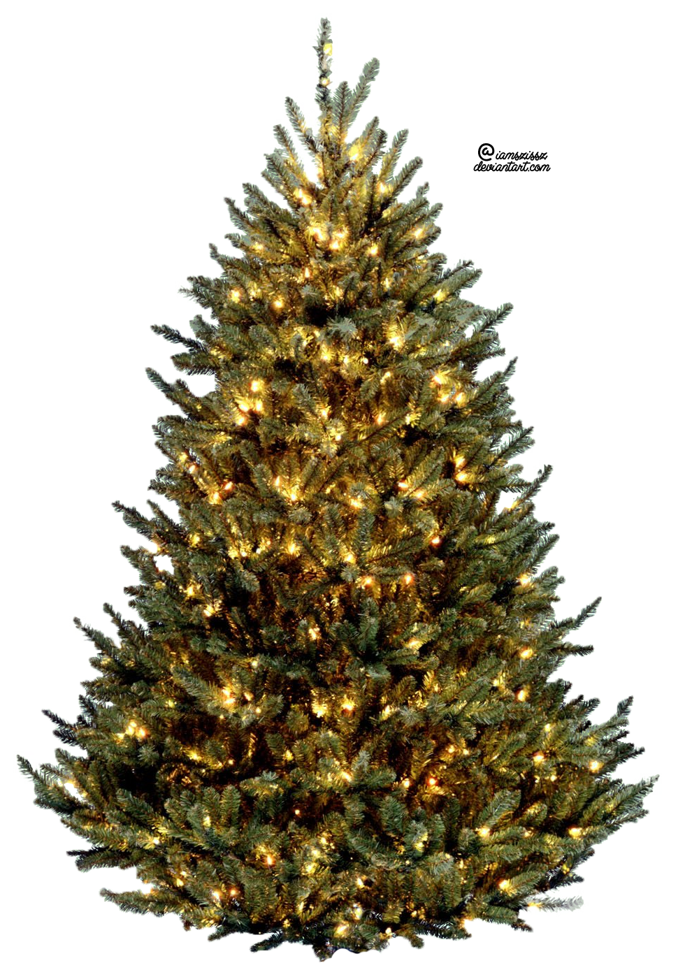 Download Christmas Tree Png Images Transparent Gallery. Advertisement - Evergreen Tree, Transparent background PNG HD thumbnail