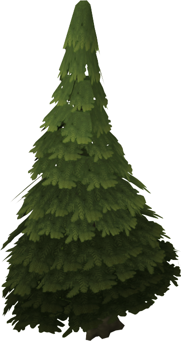 Evergreen Tree.png - Evergreen Tree, Transparent background PNG HD thumbnail