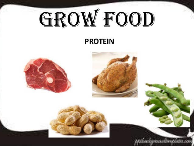 Grow Food Protein Hdpng.com  - Examples Of Grow Foods, Transparent background PNG HD thumbnail