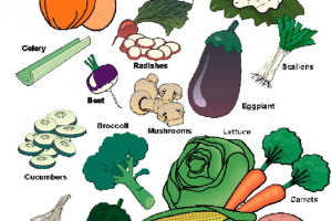 Vegetable varieties - list of