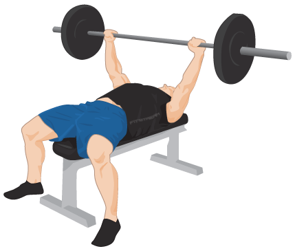 Download Exercise Bench Png Images Transparent Gallery. Advertisement - Exercise Bench, Transparent background PNG HD thumbnail