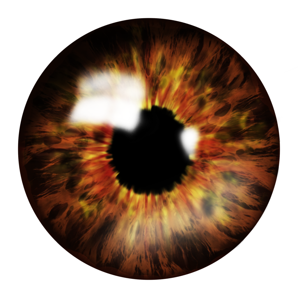 . Hdpng.com Brown Eye Saved As Png To Preserve Transparency By Shadowprince14 - Eyes, Transparent background PNG HD thumbnail