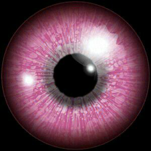 Eye Lens Hd Png - Eyes, Transparent background PNG HD thumbnail