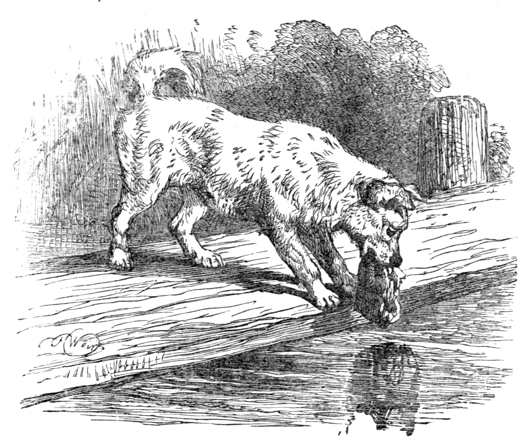 File:page 39 Illustration To Three Hundred Aesopu0027S Fables (Townsend).png - Fables, Transparent background PNG HD thumbnail
