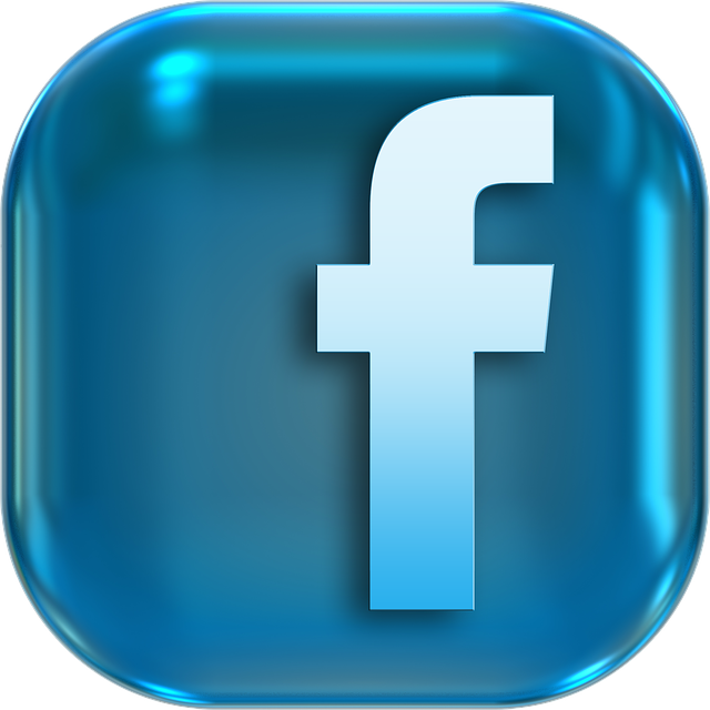 Facebook Logo Transparent PNG