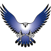 Falcon Png Image Png Image - Falcon, Transparent background PNG HD thumbnail