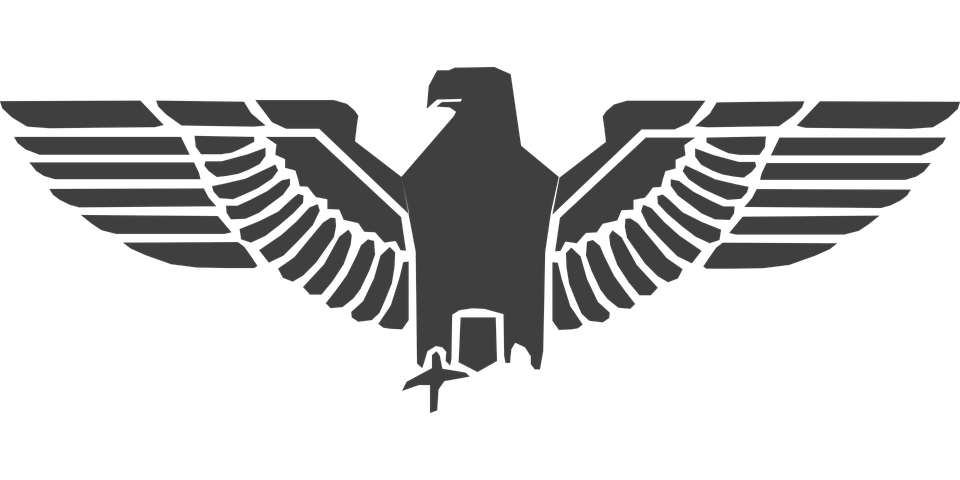 Eagle Symbol Transparent Png - Falcon, Transparent background PNG HD thumbnail