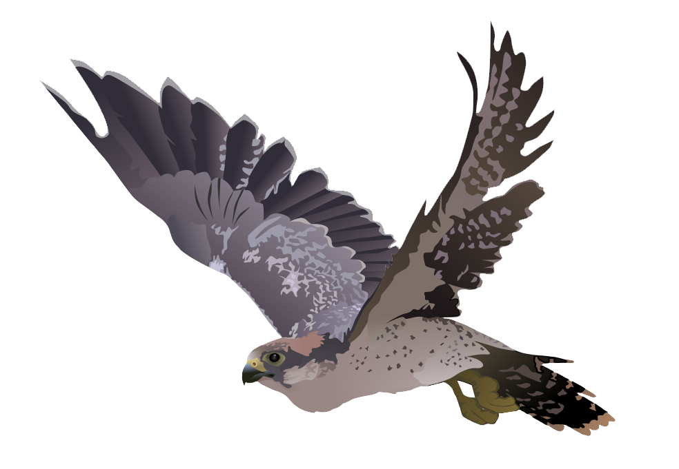 Falcon (Earth-5171).png