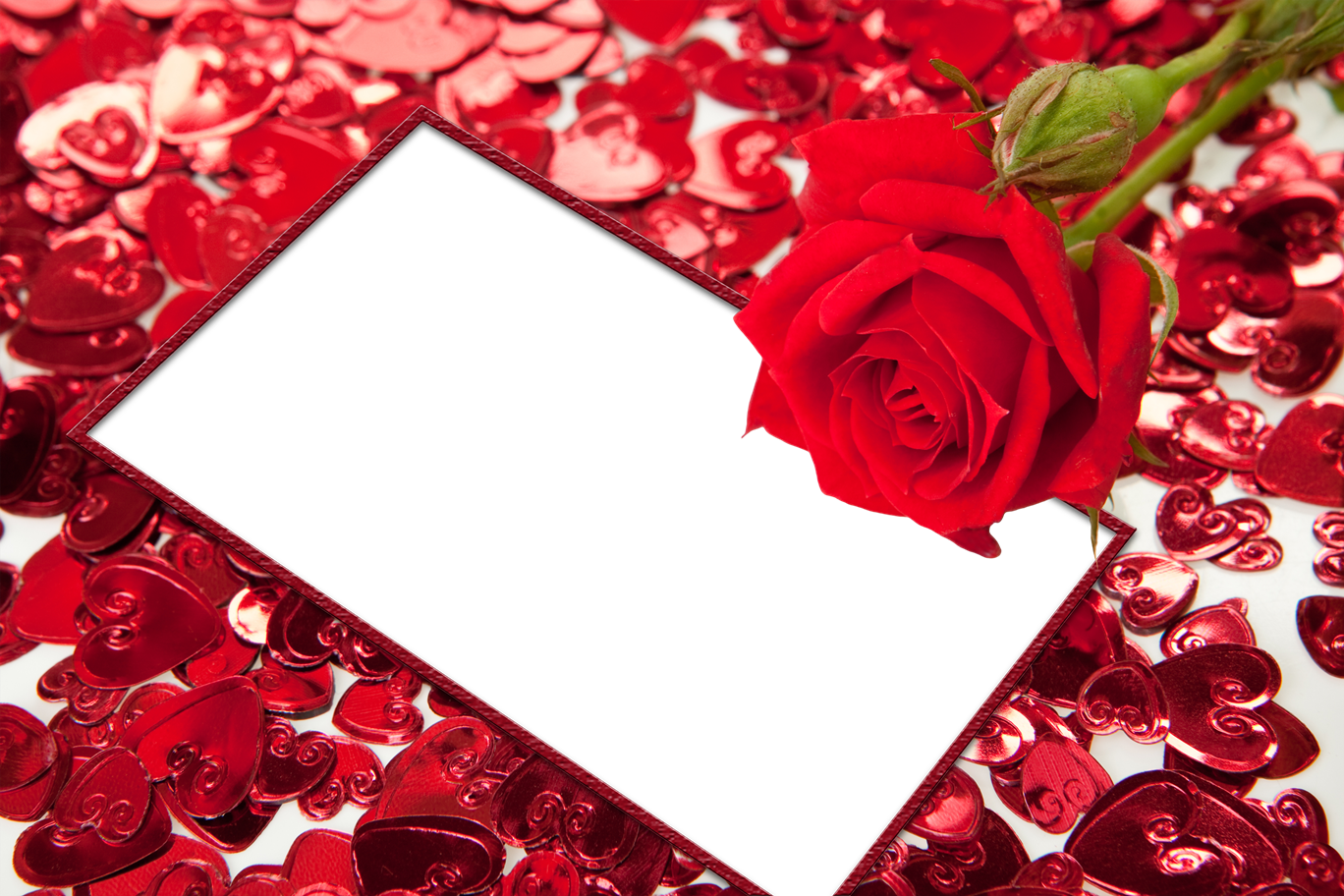 Red Flower Frame Png Hd - Family Love, Transparent background PNG HD thumbnail