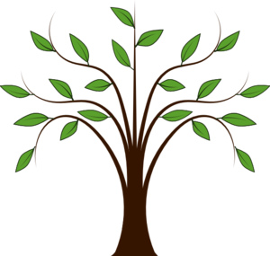 Family Tree Clipart - Family Reunion Tree, Transparent background PNG HD thumbnail