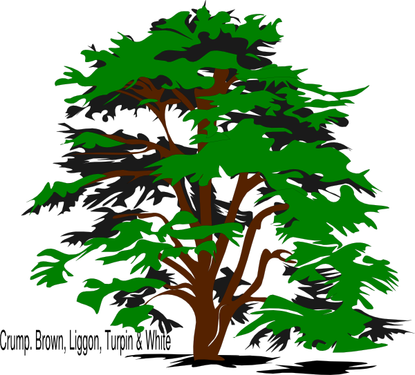 Png: Small · Medium · Large - Family Reunion Tree, Transparent background PNG HD thumbnail