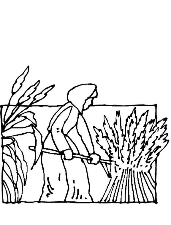 576X756 Field Coloring Pages - Farm Fields Black And White, Transparent background PNG HD thumbnail