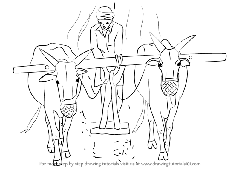 Farm Scene PNG Black And White - 800x566 How To Draw A 