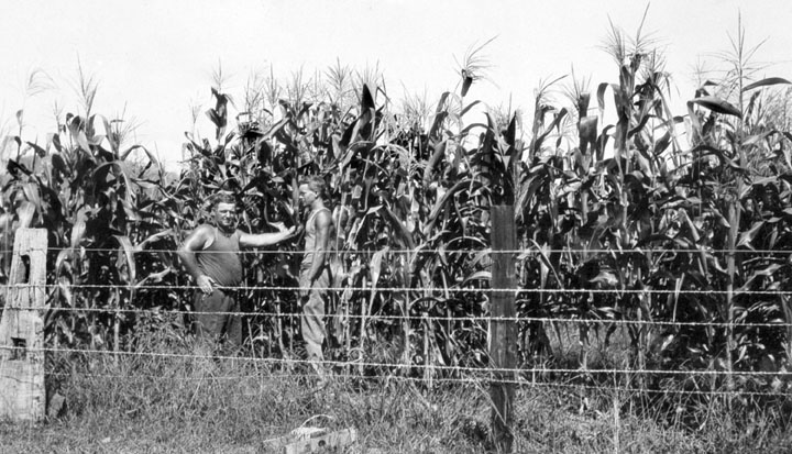 File:queensland State Archives 4172 Scenes On Farm Of Mr Davidson Beenleigh September 1933. - Farm Scene Black And White, Transparent background PNG HD thumbnail