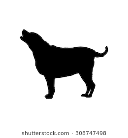 Fat Labrador Retriever Stand Silhouette, 7 Years Old. Vector Illustration Save In 10 Eps - Fat Dog, Transparent background PNG HD thumbnail