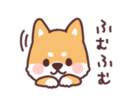 Fluffy Fat Dog Sticker #6301820 - Fat Dog, Transparent background PNG HD thumbnail