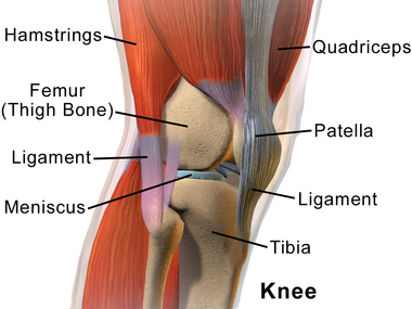 Fat Woman With Knee Pain PNG - Knee Pain