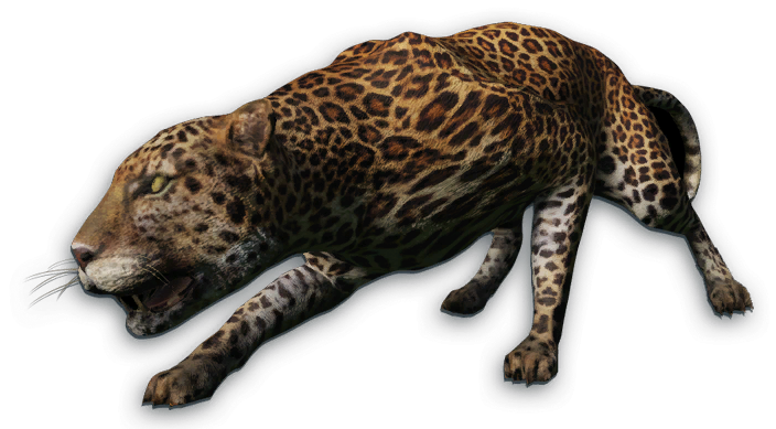 Fc3 Cutout Leopard.png - Leopard, Transparent background PNG HD thumbnail