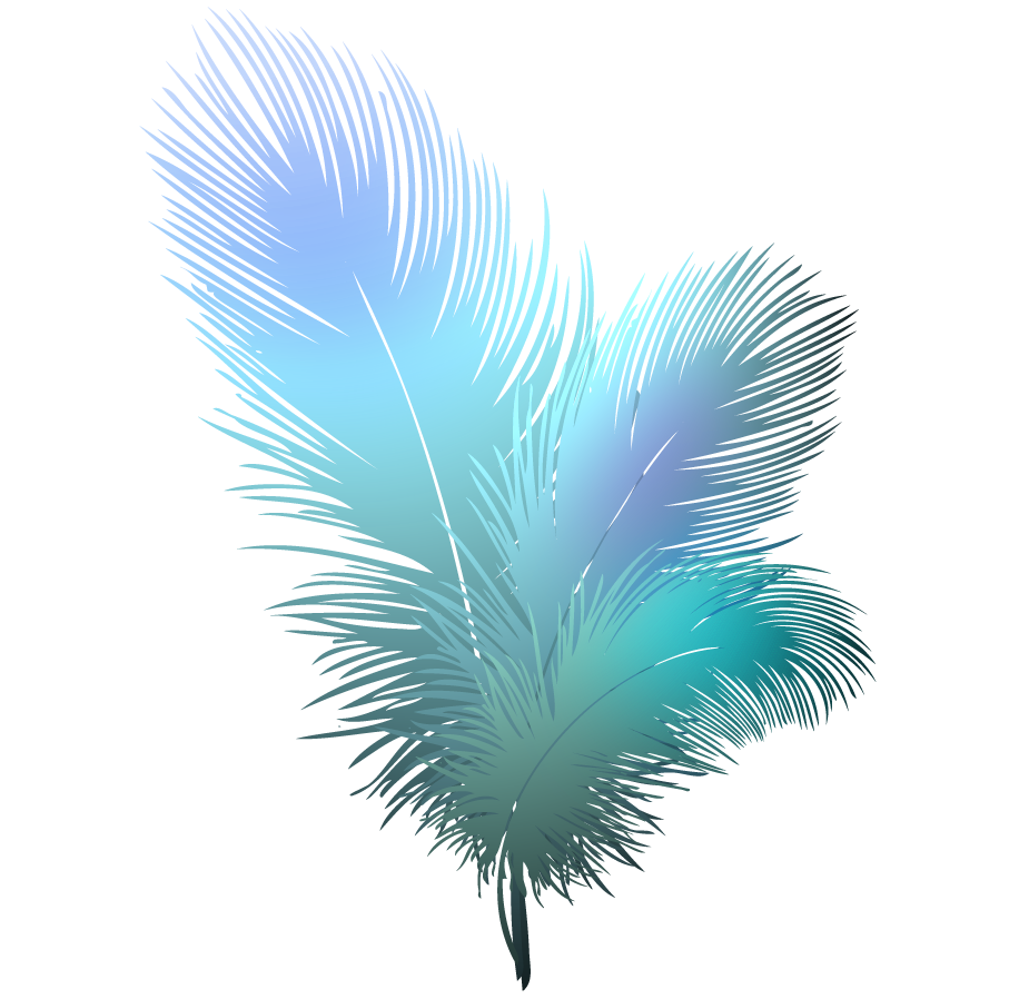 89E540Fb45F27B1F4C327D867D3Fd906 Feathers Clipart Feathers Clipart Transparent Background 916 898.png - Feather, Transparent background PNG HD thumbnail