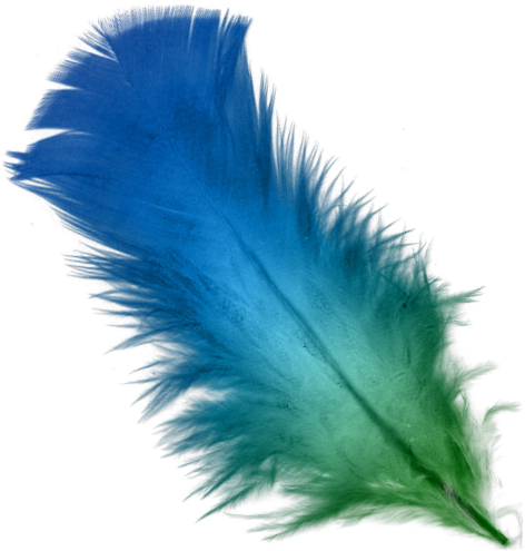 File:blue And Green Feather.png - Feather, Transparent background PNG HD thumbnail