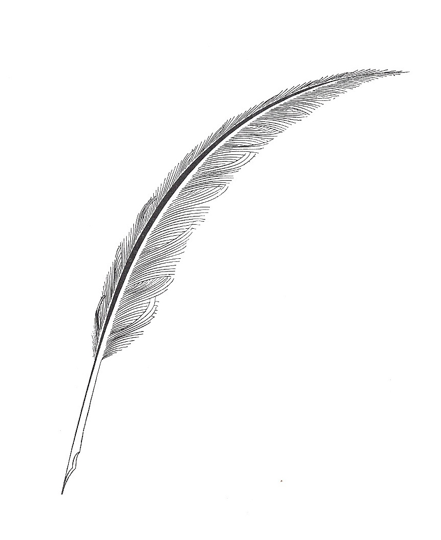 Feather Pen Png Black And White Hdpng.com 866 - Feather Pen Black And White, Transparent background PNG HD thumbnail