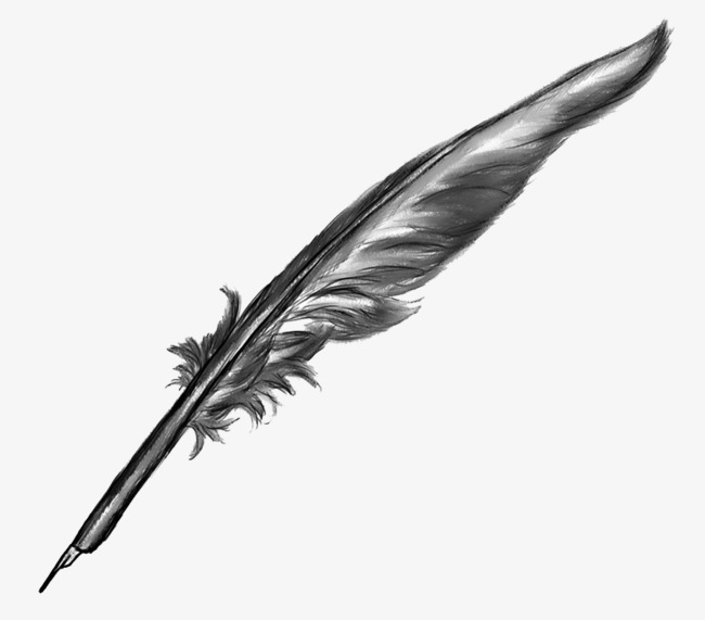 Black Quill Pen, Cartoon Hand Painted, Cartoon, Pointed Png Image And Clipart - Feather Pen Black And White, Transparent background PNG HD thumbnail