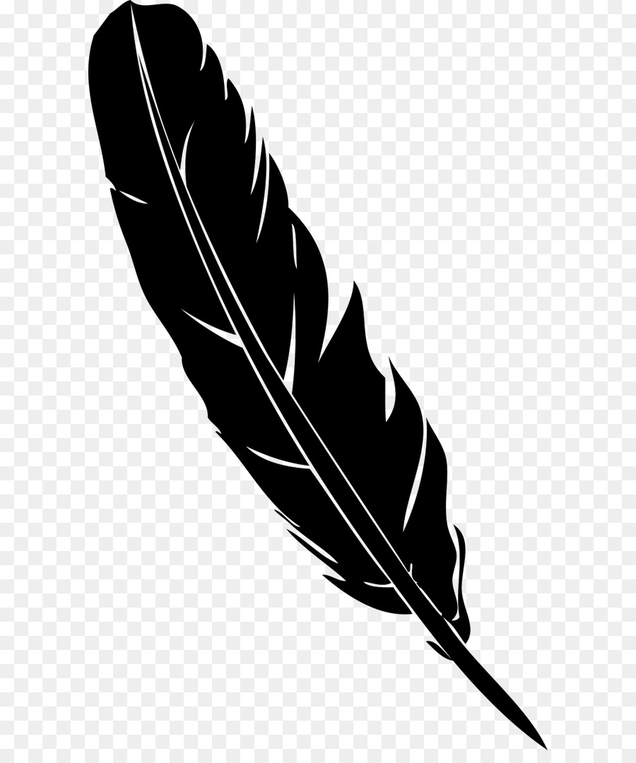 Feather Pen Quill Euclidean Vector   Black Feather Quill Pen - Feather Pen Black And White, Transparent background PNG HD thumbnail