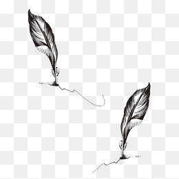 Feather Pen PNG Black And White - Hand Painted Quill Pen