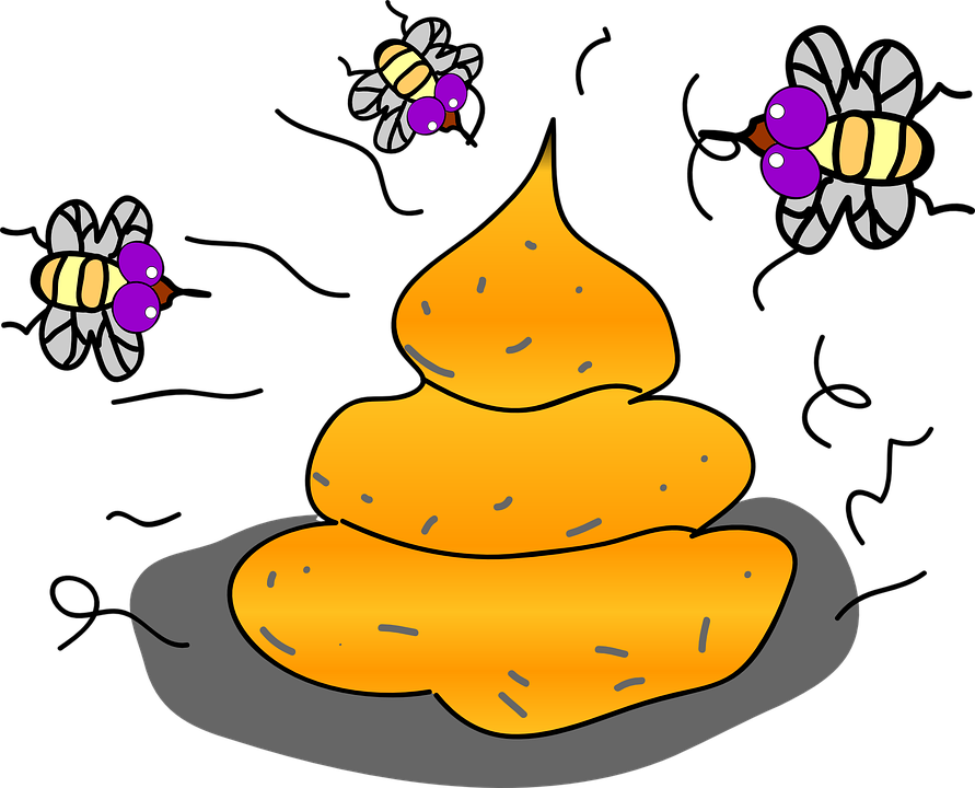 Feces Poo Stink Shit Funny Flies Insects - Feces, Transparent background PNG HD thumbnail