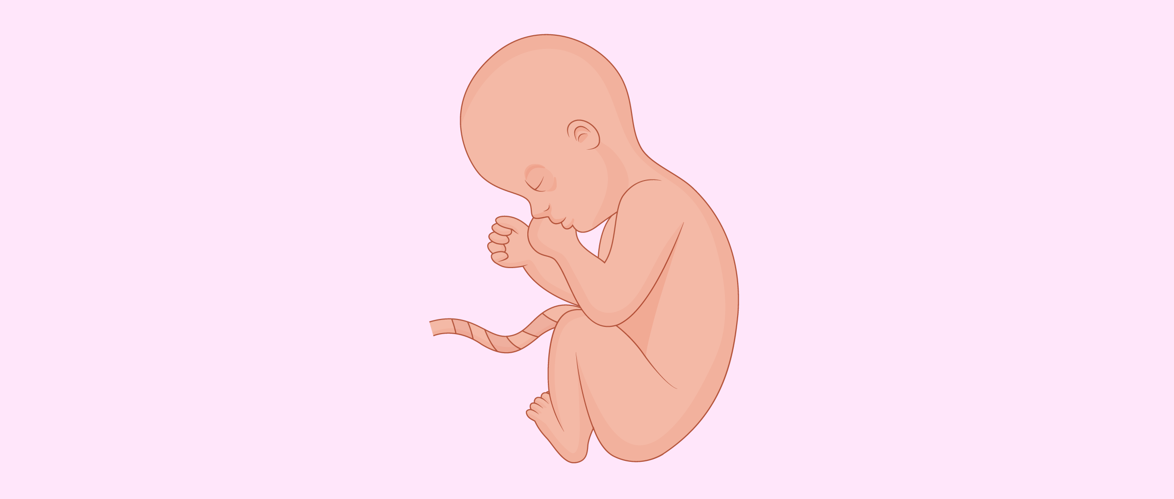 fetal position by spacemerper