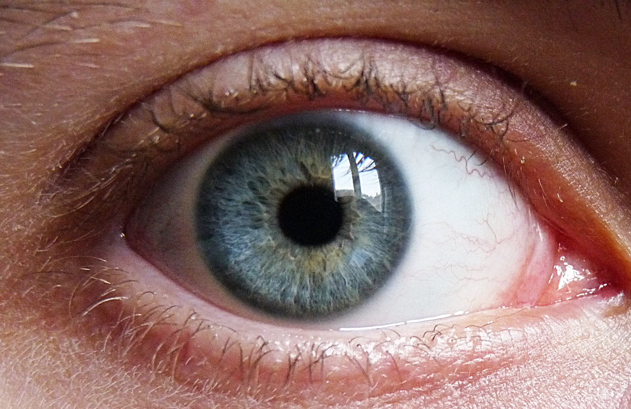 File:blue Green Eye.png - Eye, Transparent background PNG HD thumbnail