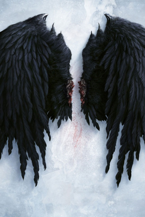 Filename: Tumblr_Md6Cyvf8Ce1Rruthyo1_500.png - Dark Angel, Transparent background PNG HD thumbnail