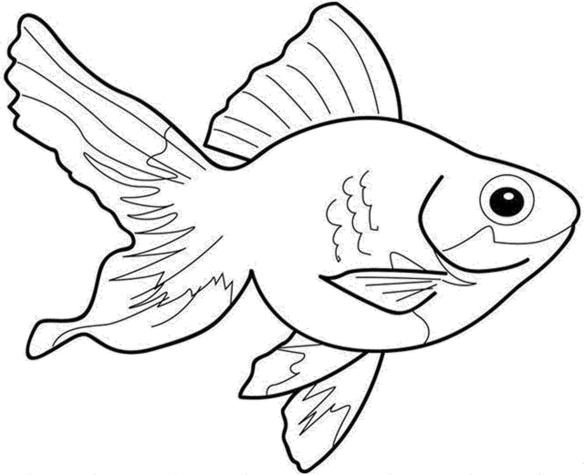 2000X1628 Bass Fish Coloring Pages - Fin Black And White, Transparent background PNG HD thumbnail