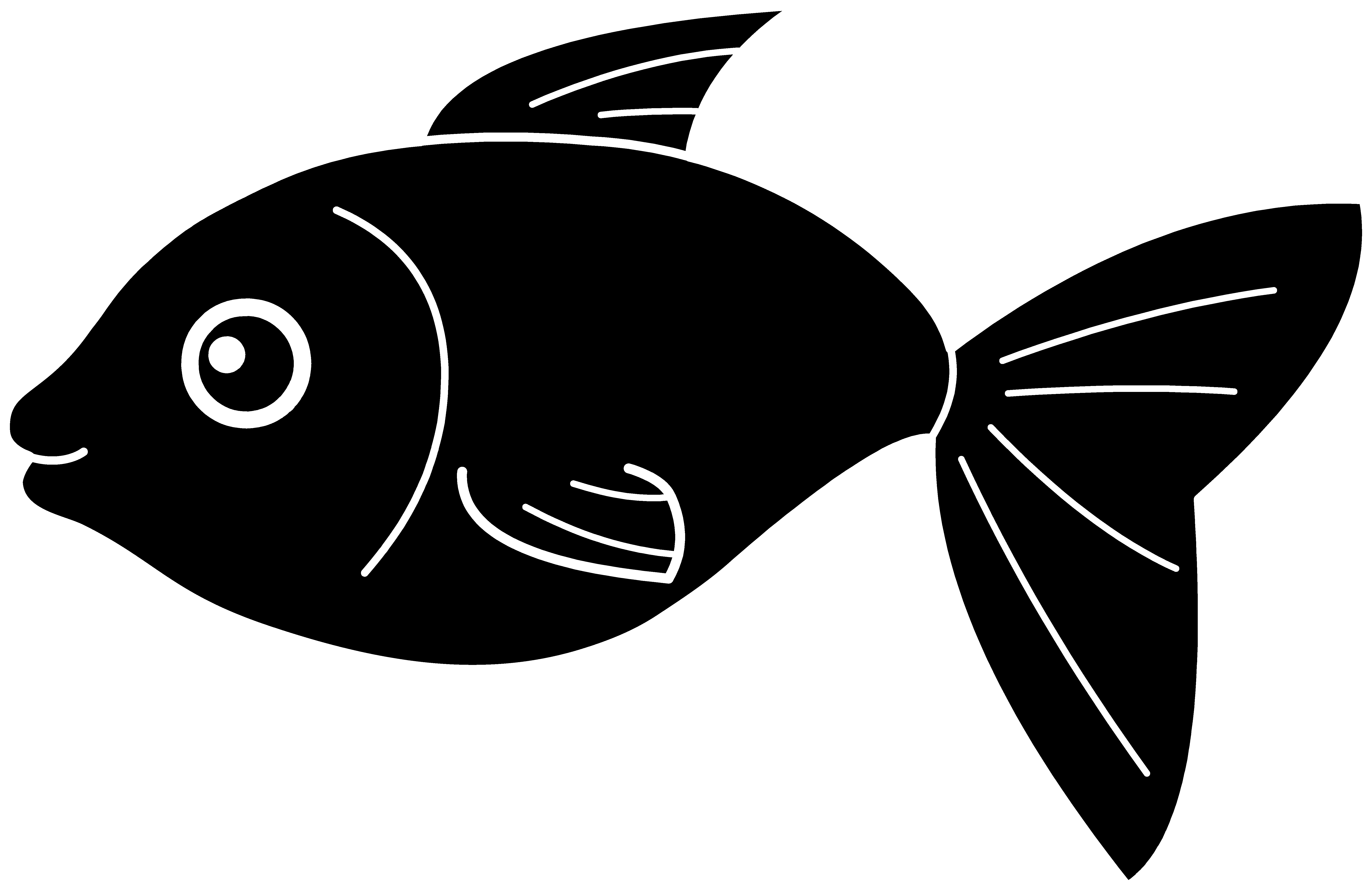 Fish Black White Line Art 555