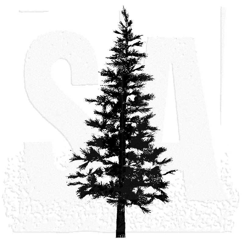 Fir Tree Png Black And White Hdpng.com 800 - Fir Tree Black And White, Transparent background PNG HD thumbnail