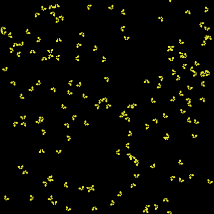 Fireflies - Firefly, Transparent background PNG HD thumbnail