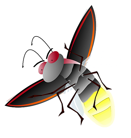 Firefly Png File - Firefly, Transparent background PNG HD thumbnail