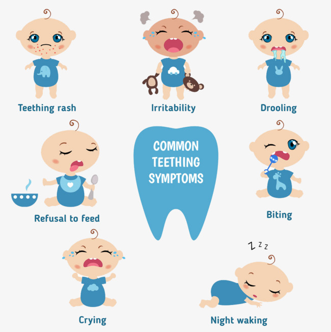 Baby Tooth Buckle Clip Free Hd, Baby Teeth, Baby First Aid, Parenting Png - First Aid Images, Transparent background PNG HD thumbnail