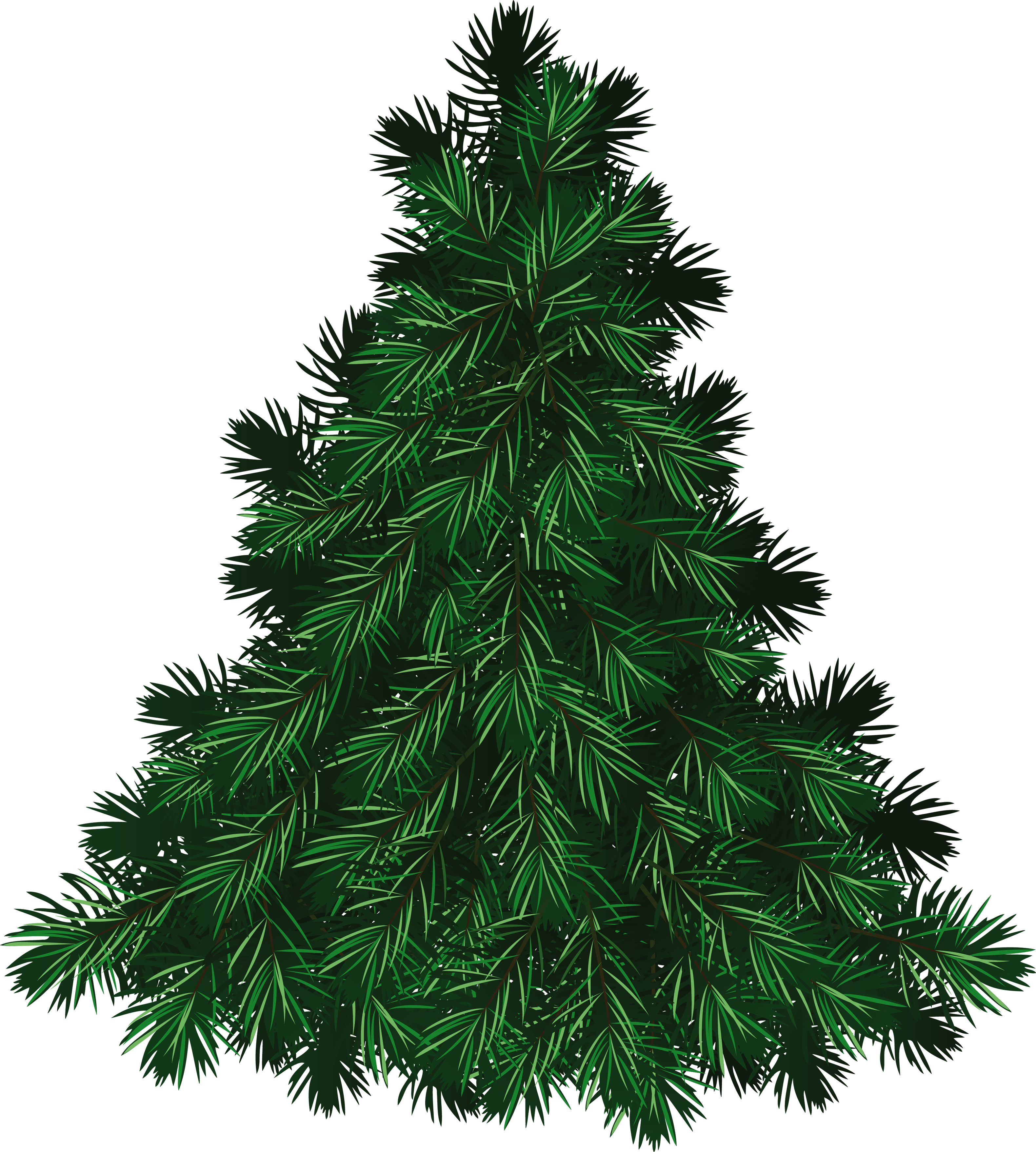 pin Drawn fir tree transparen