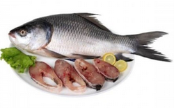 Catla Fish - Fish And Meat, Transparent background PNG HD thumbnail
